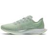 New Zoom Pegasus Turbo 2 Women's AT8242-301