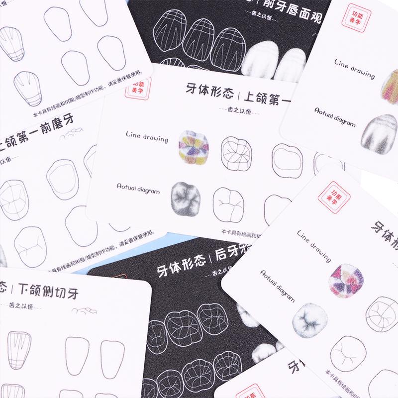1box Dental Tooth Morphology Practice Card Resin Stacking Training Pad Dental Lab Teaching Tool Dental Students Auxiliary Tool