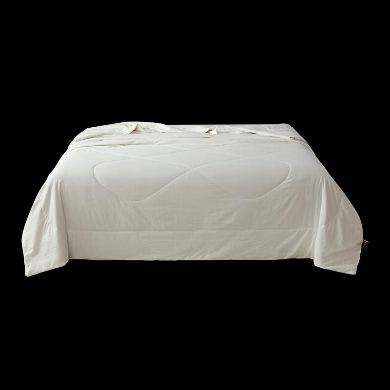 FUANNA HOME Silver Ion Premium Quilt