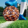 Tiger Fox Art Indoor Soccer Ball Size 5 Colorful All Ages Machine Stitched PVC Competition Ready Durable High-Bounce