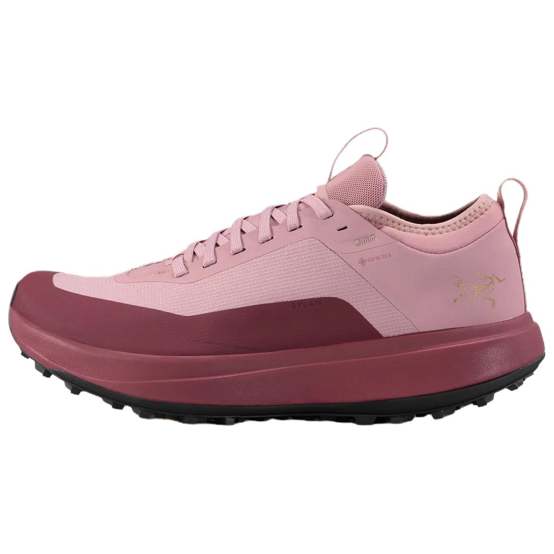 Arcteryx Sylan Gore-Tex Comfortable Stylish Shock-Absorbing