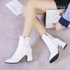 Winter Thick High Heel Ankle Boots Women 2025 Pointed Toe Keep Warm Elegant Short Booties Ladies Ankle Buckle Decoration