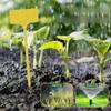 10pcs/20pcs Garden Plant Labels Plastic T-Type Plant Tags Reusable Plant Name Tags Garden Farmland Greenhouse Plant Accessories