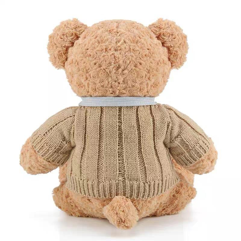 Teddy Bear Hug Bear Bear Doll Plush Toy Girlfriend Birthday Gift Gift Doll