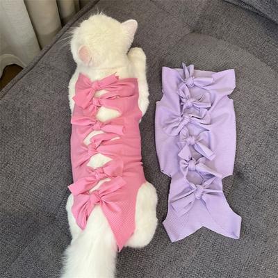 Katzen – Katzenpflege