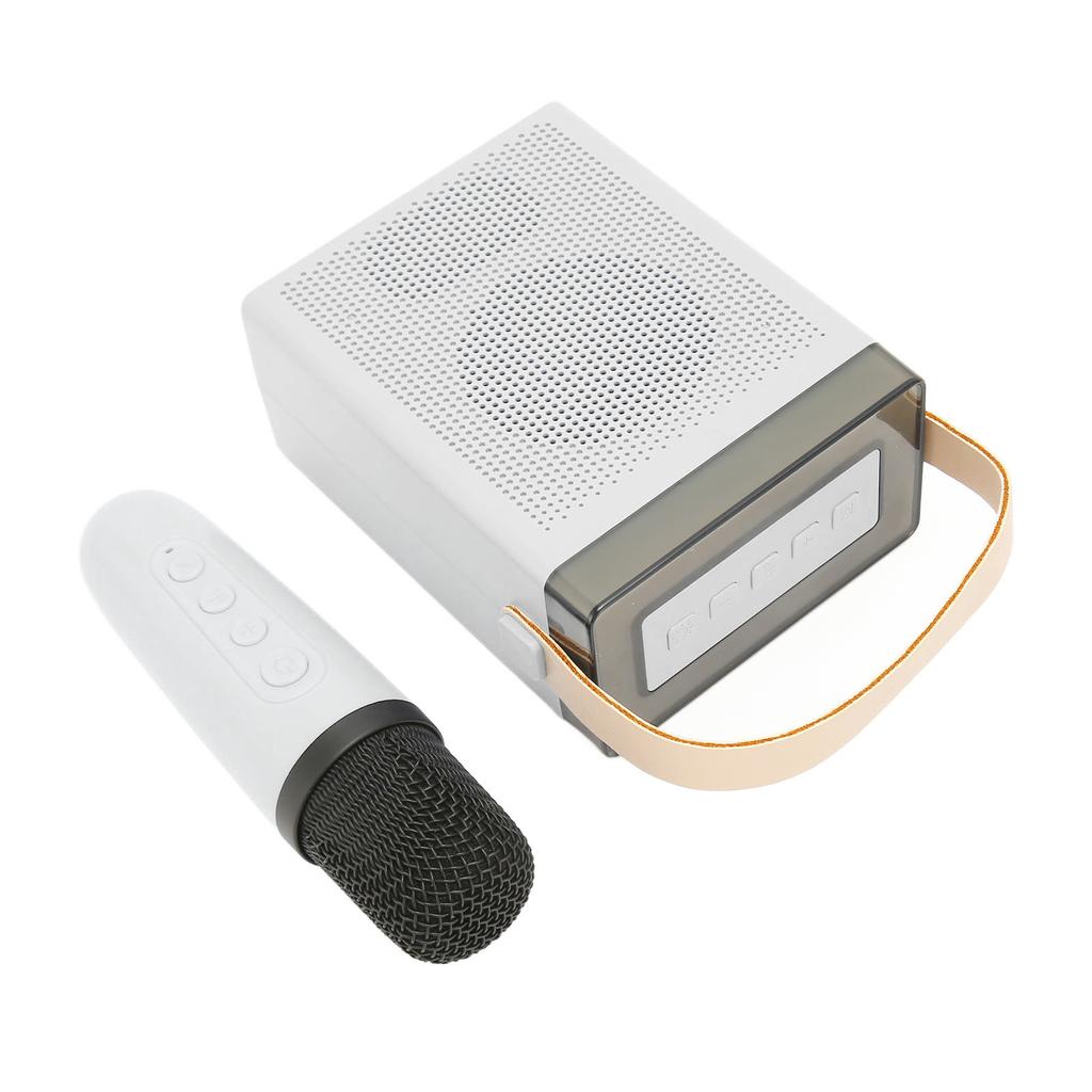 Karaoke Machine Set with RGB Light Rechargeable Bluetooth Speaker with 1 Wireless Microphone for Home Party KTV White