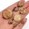 5/10 Stück Naturstein Cabochon 4-25mm Bildstein Runde Flache Rückseite Cabochon Perlen Für Schmuckherstellung DIY Ring Anhänger Zubehör