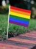 Home Party Supplies Hand Wave Rainbow Pull Flag LGBT Rainbow Flag 10pcs1set