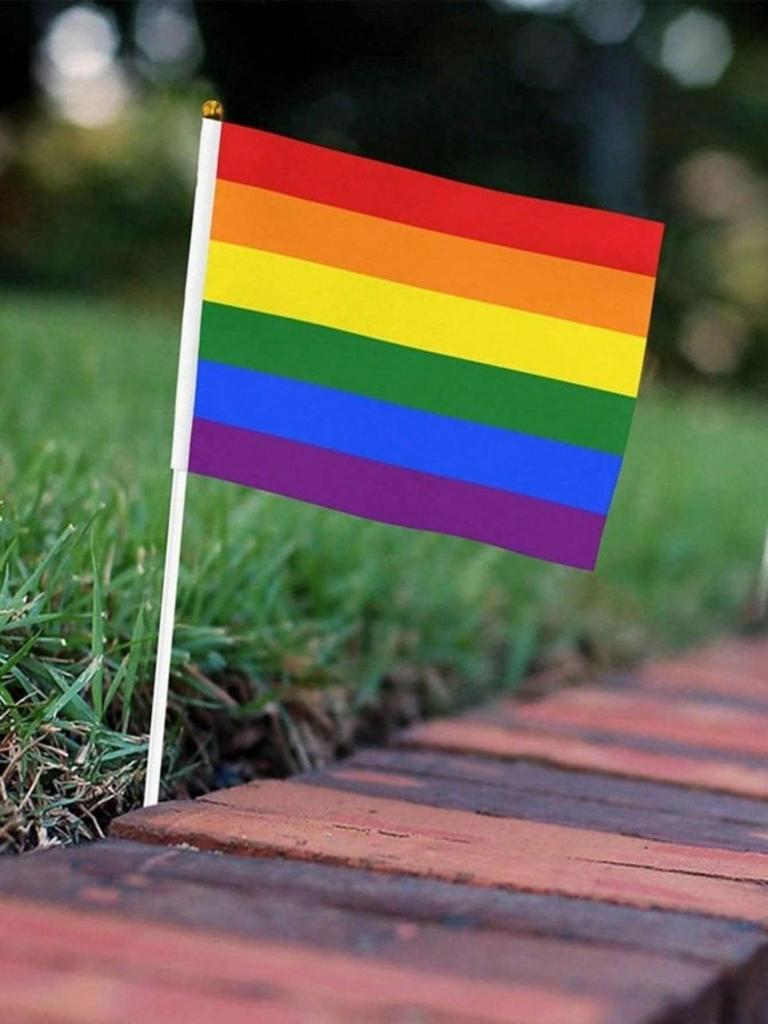 Home Party Supplies Hand Wave Rainbow Pull Flag LGBT Rainbow Flag 10pcs1set