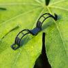 100pcs Functional Garden Plant Support Clips Practical Garden Clips For Securing Tomato Stem And Vegetable Plant