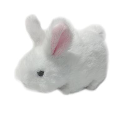 Puppen & Kuscheltiere – Stoff- & Plüschtiere