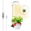Plant Lights For Indoor Growing Sun Simulation Fill Lamp For Flower LED Full Spectrum Grow Lights With 360 Degree Rotation