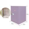 Lockable Steel Desktop File Organizer for Home or Office