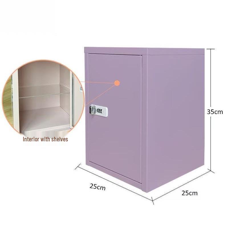 Lockable Steel Desktop File Organizer for Home or Office