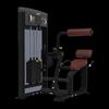 Impulse Back Extension Trainer