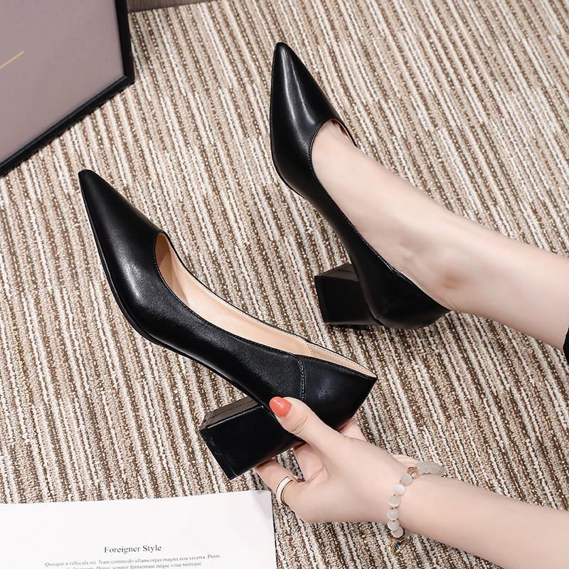 Autumn new pointed high heels women's 5cm thick heel soft leather surface two wear professional daily large size single shoes