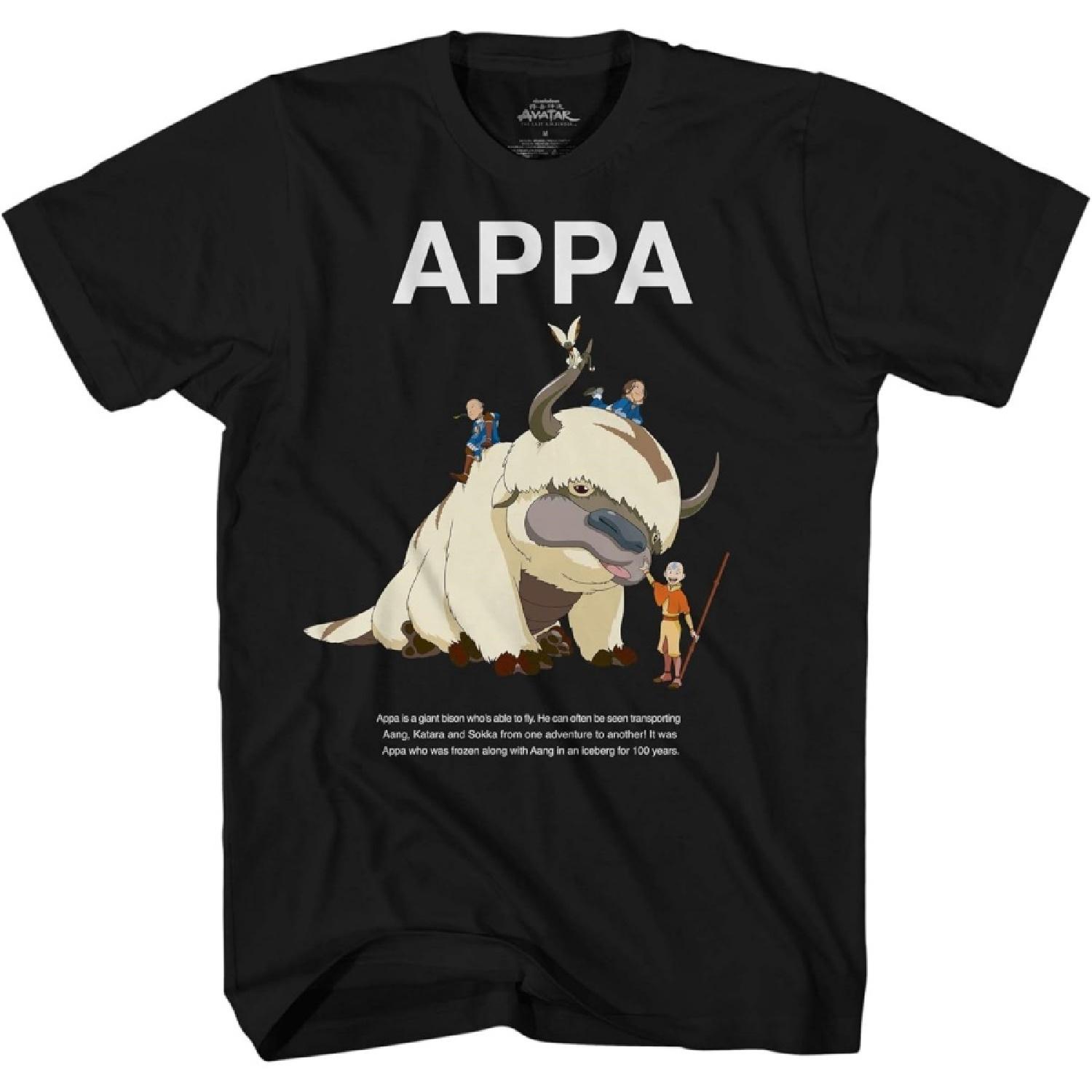 Аватар: Легенда об Аанге Аппа Футболка для взрослых XXXXXL разноцветный