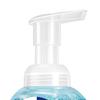 Walch Healthy Care Foaming Antibacterial Hand Wash
