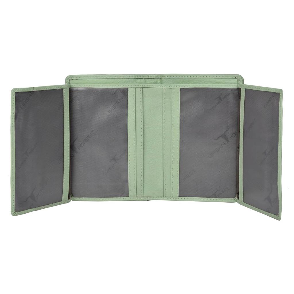 Arya Mint Green Leather Wallet for Women