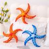 Simulated Starfish Pillow Marine Life Plush Toy Five-legged Starfish Doll Dormitory Sofa Pillow Ornaments