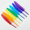 50Pcs10-15Cm/4-6 Inch Colorful Duck Feather Handicraft Accessories Goose Feather Jewelry Creation Diy