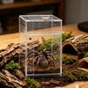 Kleine Reptilien Zuchtbox Transparenter Acrylkäfig Lebensraum Zuchtbox Kleiner Glasbehälter Behälter Springspinnen