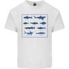 Fish Species Fishing FisherUnisex Shark Unisexs Light Cotton TShirt