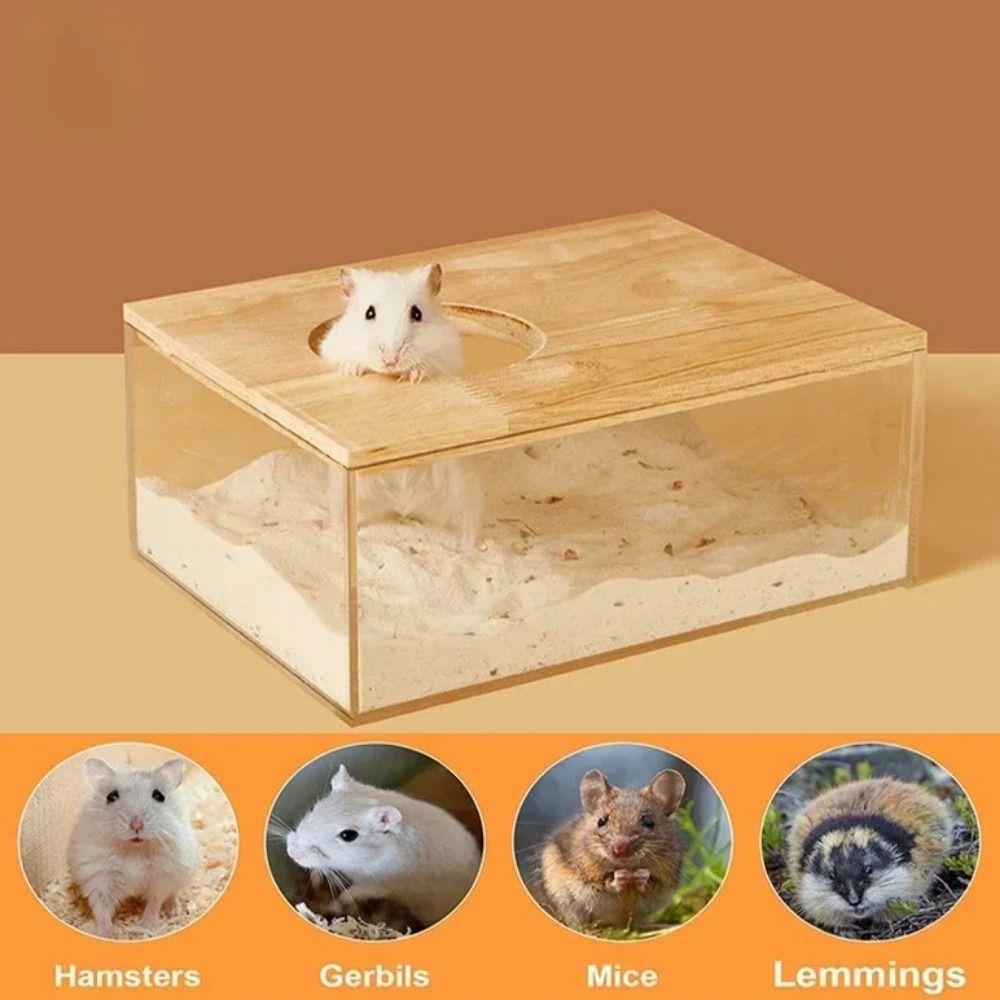 Akrylowa Kąpiel dla Chomika Przezroczysty Piaskownik dla Chomika Dla Chomika Złocistego Świnki Morskiej