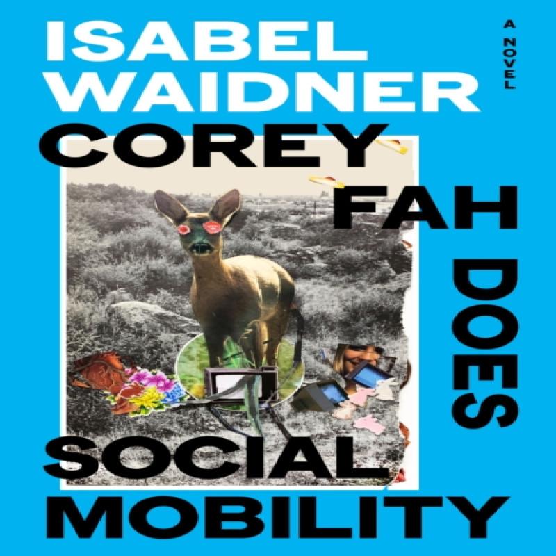 Corey Fah Does Social Mobility by Isabel Waidner Hardback Book 9780241632536