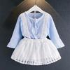 Korean Style Princess Birthday Romper: Solid Color Puffy Skirt with Mesh Straps for Baby Girls and Infants.