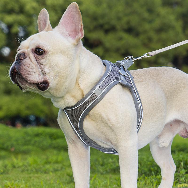 Reflective Vest-Style Pet Harness and Leash Combo