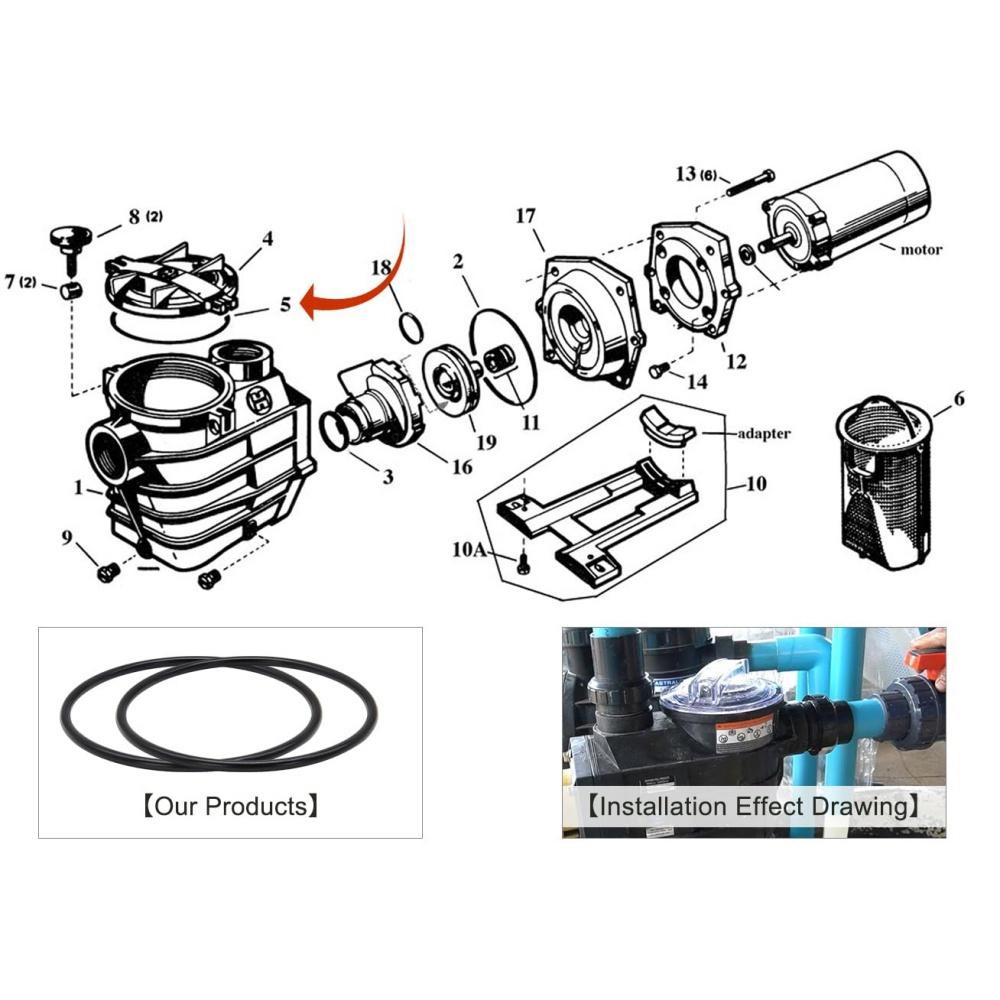 2Pcs SPX3000S Strainer Cover O-Ring For Super II SP3000 Series