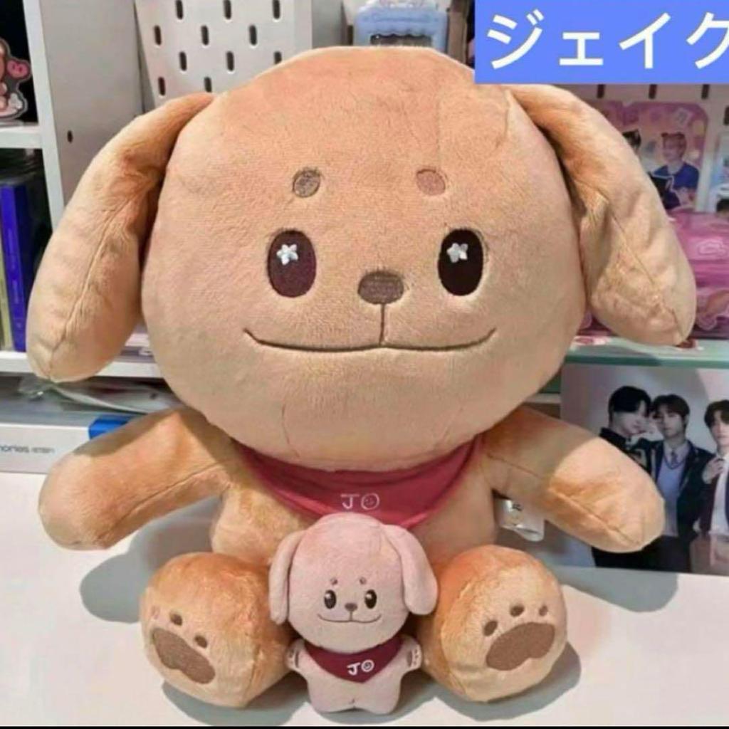 [USED] ENHYPEN Jake Plush Toy 40cm Doll Master Ennimals