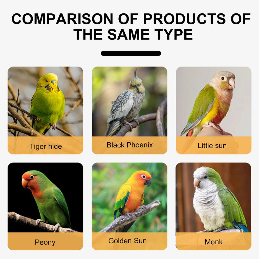 Zugleine für Papageien mit automatischer Flugschnur für den sicheren Umgang mit Vögeln, komfortable Geschirrleine für Papageien