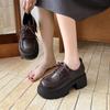 British Style Small Leather Shoes Women's 2025 Spring New Retro Japanese Thick-soled Heightening Lace-up Internet Celebrity Loafers