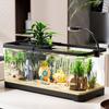 Fischtank mit Deckel - Transparentes Desktop-Aquarium für Goldfische und Schildkröten, Perfekt für Zuhause oder Wohnzimmerdekoration.