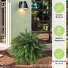 Décoration de la maison – Fleurs et couronnes décoratives