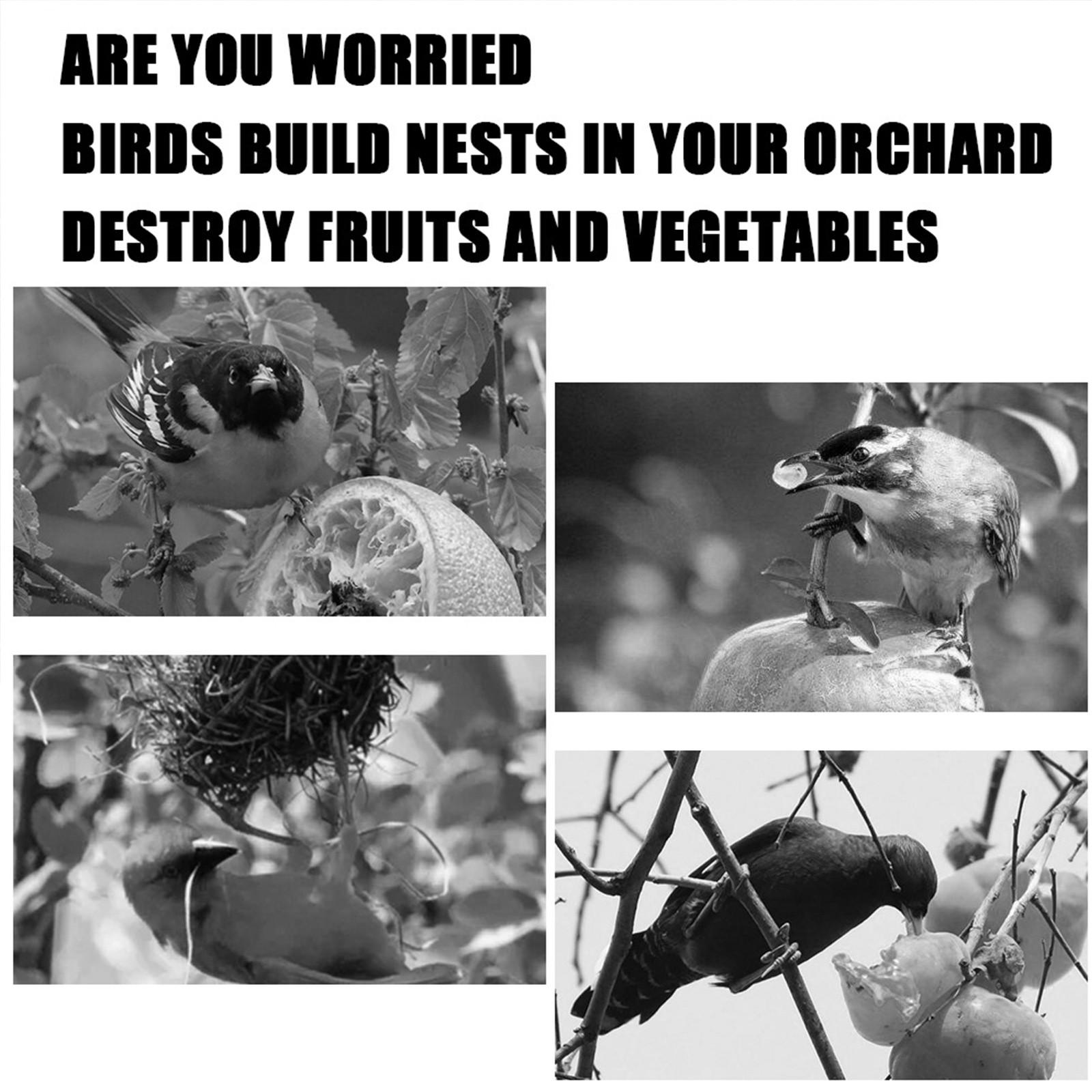 Зеленая сетка для защиты птиц защищает птиц от грызунов — фото 4