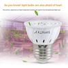LED Grow Light Bulb E27 220V Full Spectrum 200/300LED Plant Lamp for Indoor Garden Seedling Greenhouse Hydroponics Grow Tent