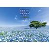 TRY-X 2027 Wall Calendar Stunning Views of Japan by Shiho Beautiful Japanese Landscape 52x36cm 28 Pages 27CL-462