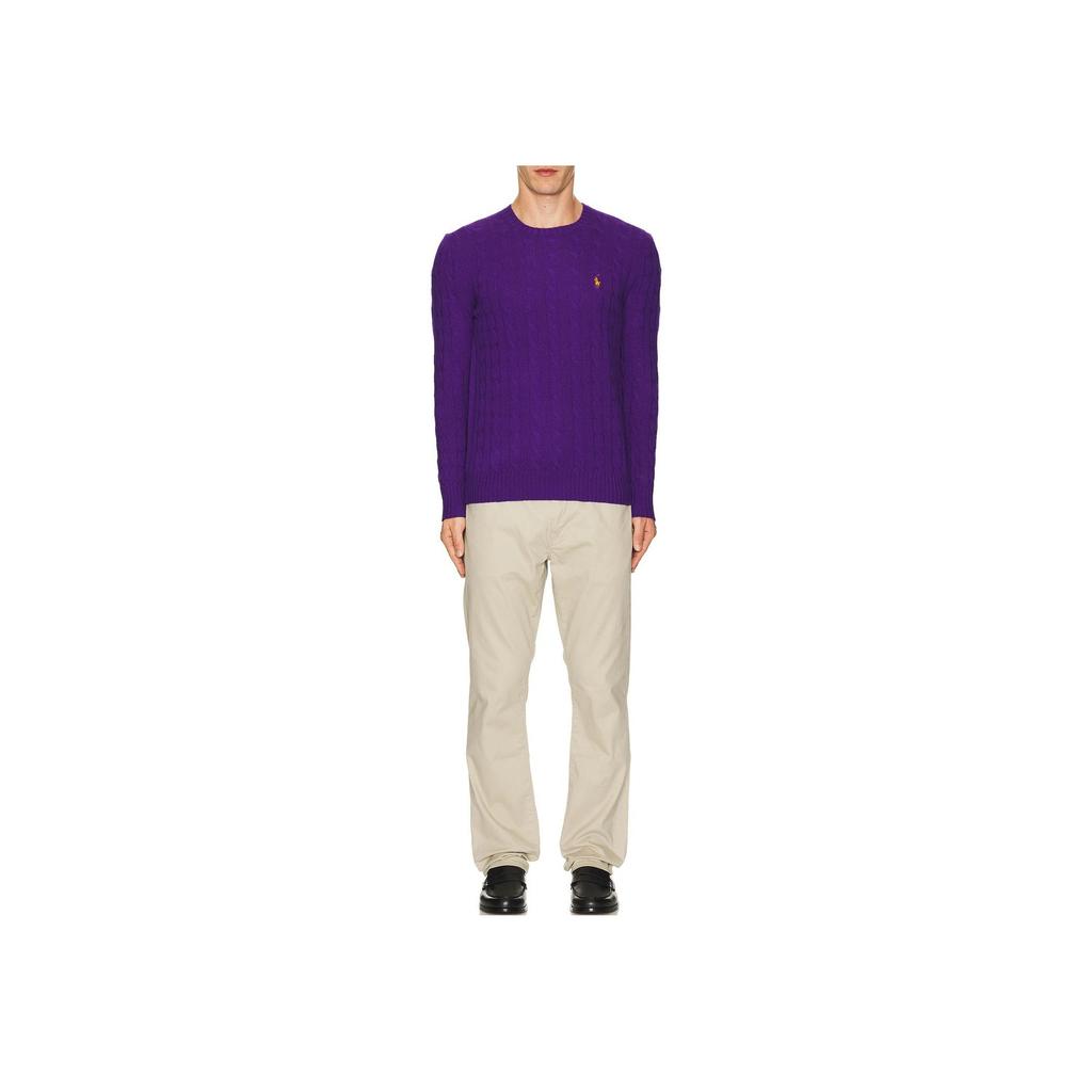 Polo Ralph Lauren Solid Logo Round Neck Long Sleeve Knit Sweater Men sweater Purple 710876762-025