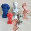 Nordic Resin Venus, Apollo & David Busts: Colorful European Figure Statues