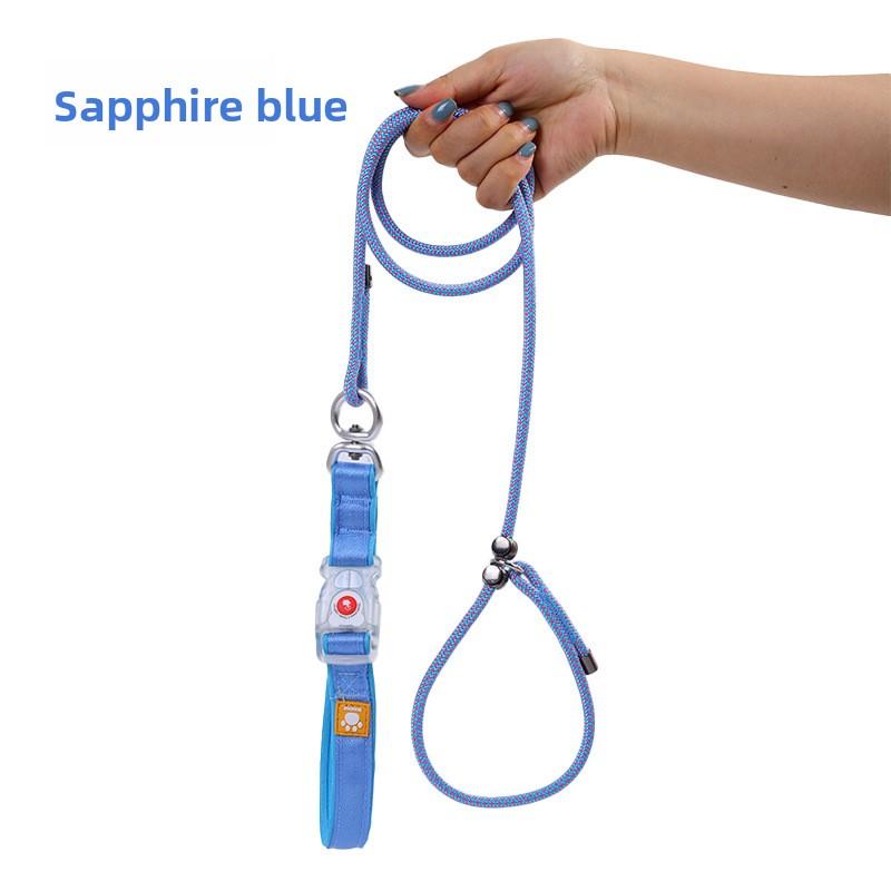 Hundeleine, Nylonleine, Leuchtende Leine für große Hunde, Spazierleine für kleine Hunde
