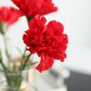 6Pcs Faux Silk Flower Material Artificial Carnation Flower Realistic No Watering Anti-fade Fake Flower DIY Gift Mother Day Adult Sex Wear