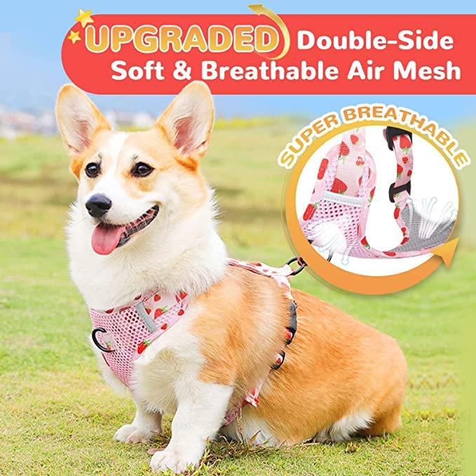 Купити Набір шлейок для собак, набір повідків, що не тягнуть, м’яка ...