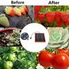 Solar Plant Grow Light Monocrystalline Silicon Sunlight Plant Lamp Strip with Solar Panel for Indoor Seedings 5V 5W