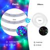 360 Neon Strip Light AC 220V Round Neon Tube Outdoor Waterproof IP67 Flexible Neon Light with EU Plug Blue/Red/Green/Yellow/RGB