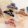 Women's Princess Mood Chiffon Hairpin Clip