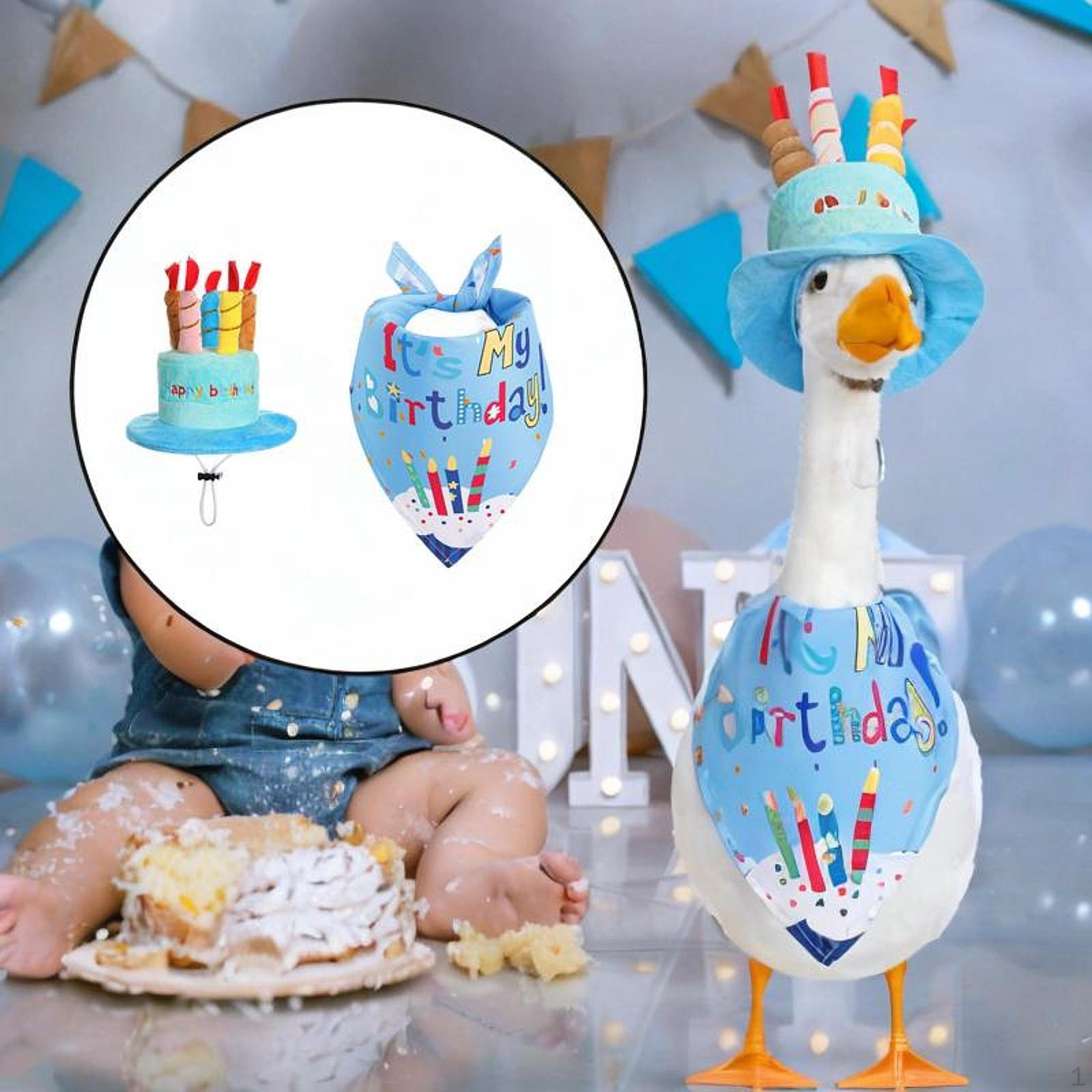 

Торт-одежда на день рождения гуся цемент для офиса вечеринки синий