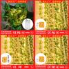 Solar String Lights With 100led Ip65 Waterproof For Holiday Decoration And Outdoor Ambience